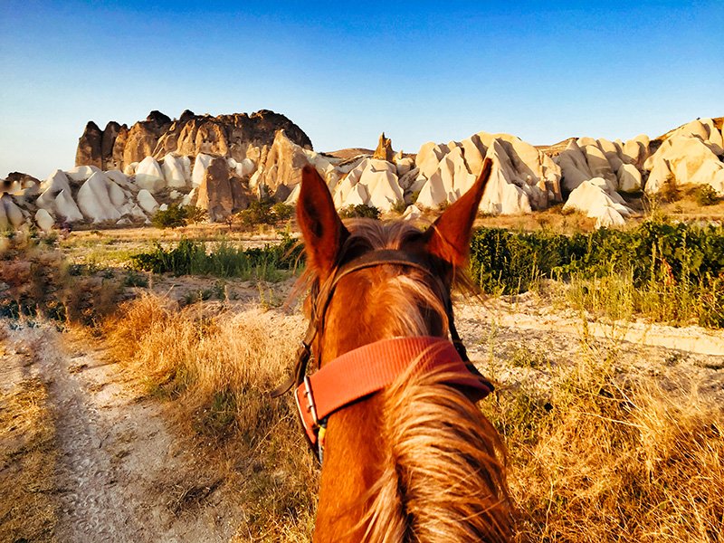 Horseback-riding. in Cappadocia horse ears jpg