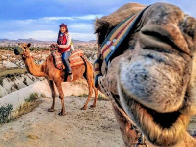 Camel-tour-with-crazy-camel